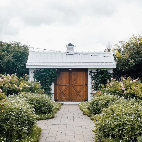 Image by Annie Shelmerdine